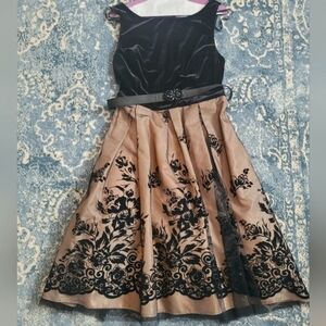 Beautiful Velvet Dress